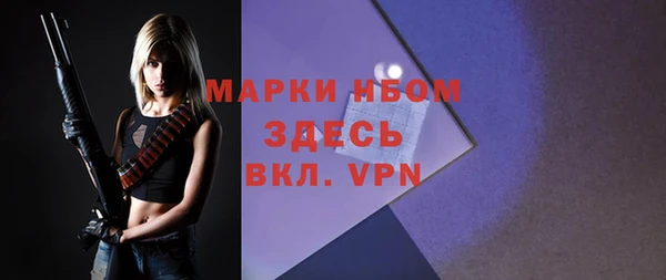 apvp Алзамай