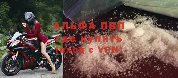 шишки Арсеньев