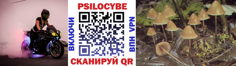 Галлюциногенные грибы мицелий  закладки  Краснотурьинск 