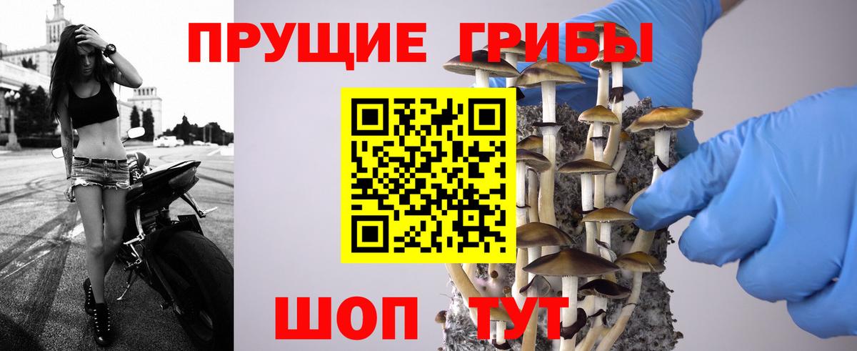 Краснотурьинск  Псилоцибиновые грибы Psilocybe  Вход с VPN 