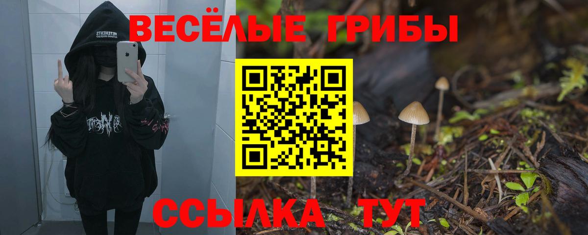 Псилоцибиновые грибы Psilocybe Краснотурьинск